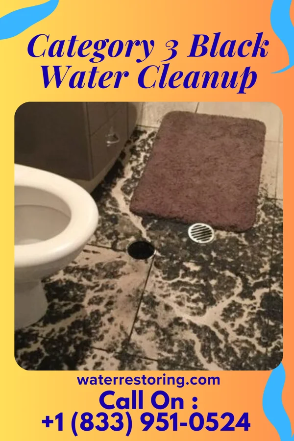 Category 3 Black Water Cleanup in Elroy, NC