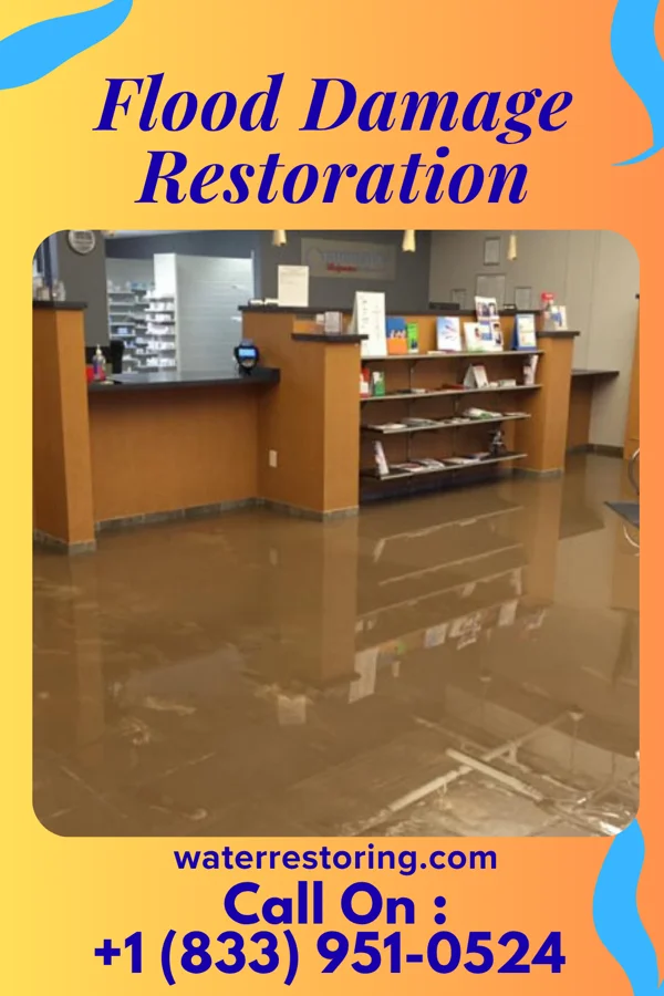 Flood Damage Restoration in Elroy, NC