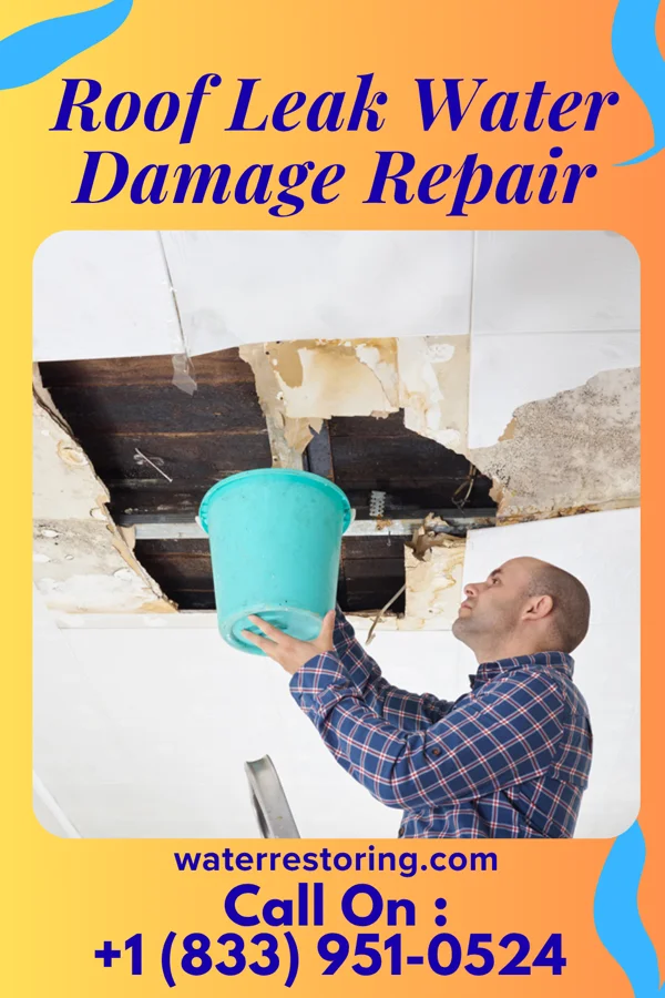 Roof Leak Water Damage Repair in Elroy, NC