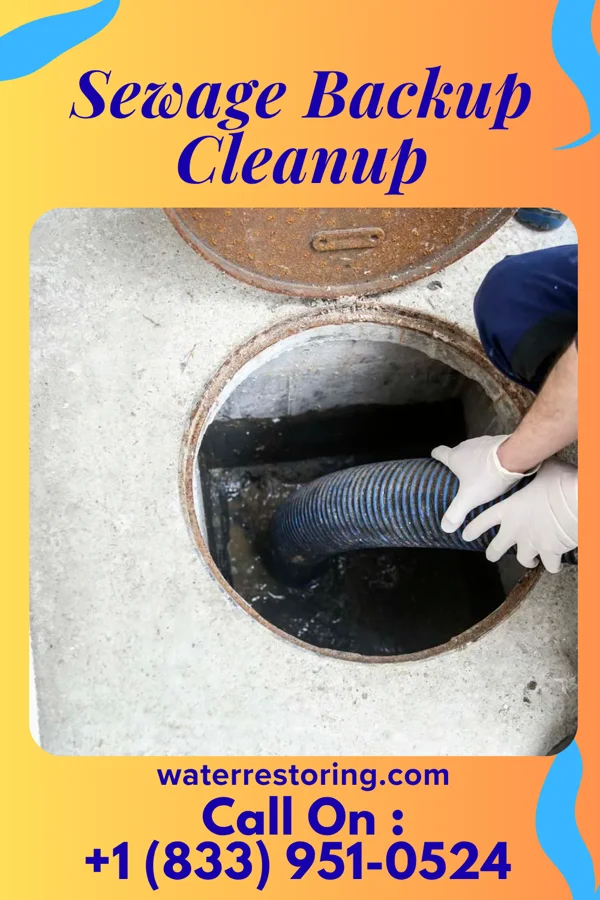Sewage Backup Cleanup in Elroy, NC